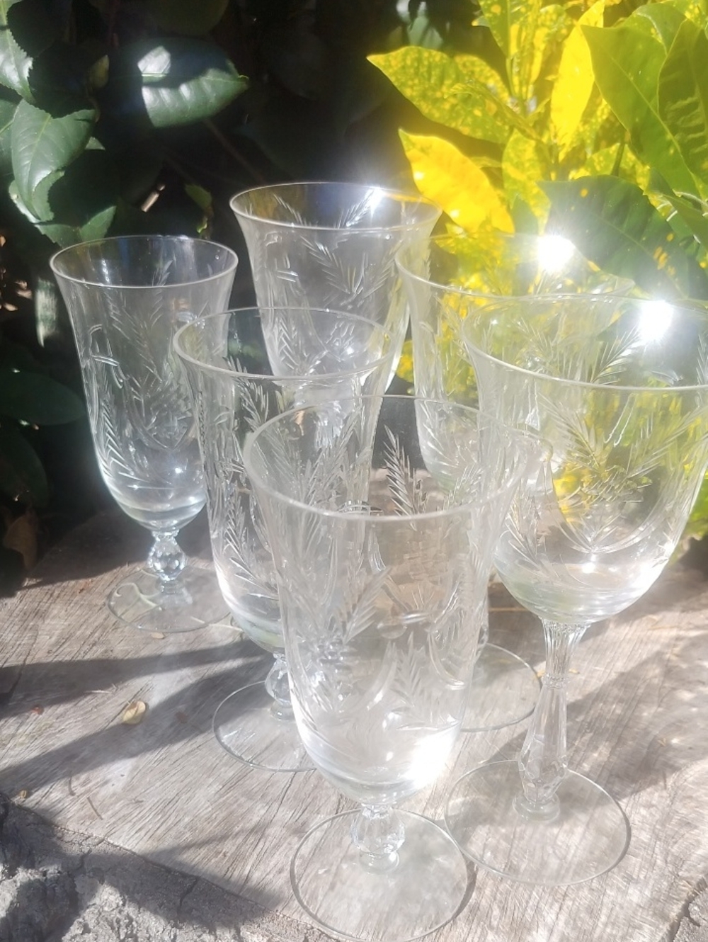 Crystal Etched Wine Glasses - Clear ,Set Of 6